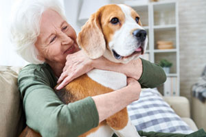 animaux domestiques pour les seniors