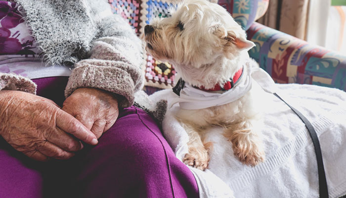 Animaux pour les personnes âgées